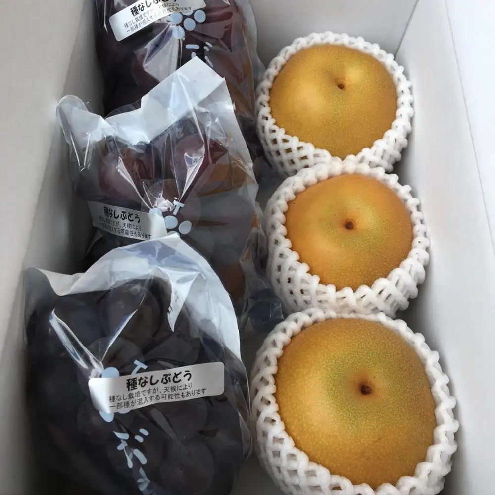 ［先行予約］［数量限定］梨とたなねし巨峰の詰め合わせ 約2kg　★2026年8月中旬頃より順次発送