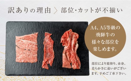 厳選　飛騨牛　切り落とし 切落し A4・A5ランク 600g[C0061]