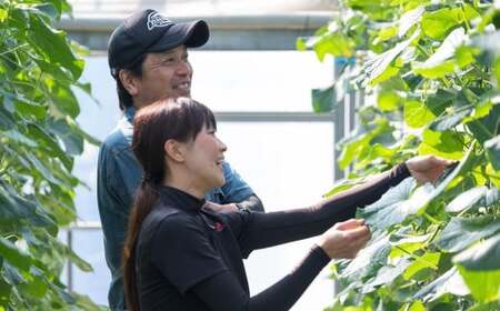瀬戸内レモン  約2kg  【 2027/2月  ～ 3月発送 先行予約 】 ワックス 防腐剤不使用