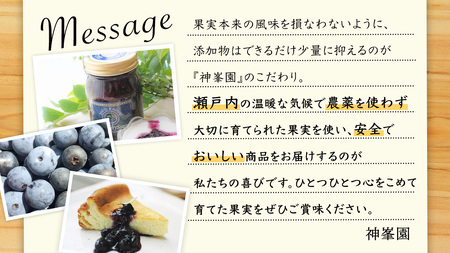 大崎上島産 ブルーベリー100%デザートソース 500mL×2本