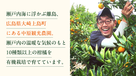 オーガニック 瀬戸内みかん 3kg (30~40個程度)  【2026年10月中旬～1月発送】