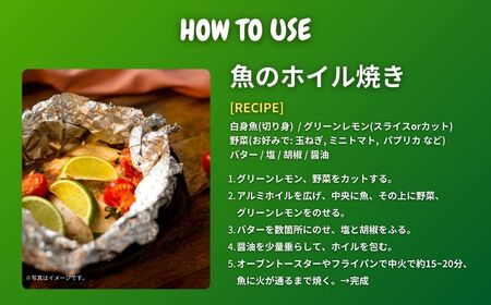 ハウス グリーンレモン 約3kg 【2026年9月以降発送】