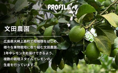 ハウスグリーンレモン 約5kg 【2026年9月以降発送】