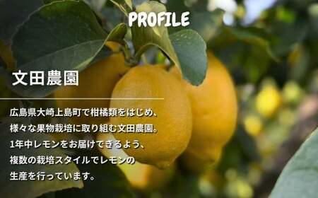芳醇! 文田農園のレモン 約3kg 【2027年 1～2月発送】