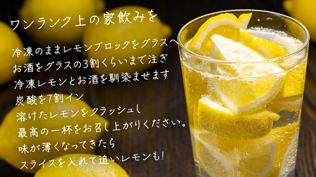 冷凍 カットレモン 8袋入 (約3～4個分)