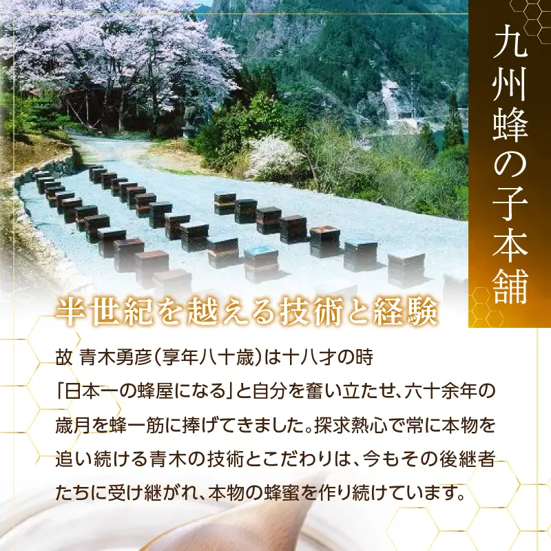 国産純粋蜂蜜 りんごみつ 140g 非加熱 はちみつ ハチミツ 生はちみつ ローハニー オススメ 贈答 贈り物 プレゼント 八女市 183-008