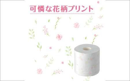 【全3回定期便(2ヵ月に1回)】クリネックス システィ（ダブル） 40ロール(4ロールｘ10パック) トイレットペーパー [BDAM005]