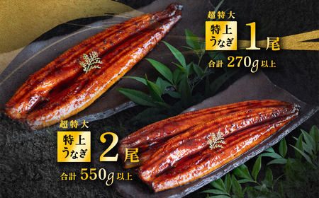 うなぎ 国産 蒲焼き 2尾 550g 特上ウナギ 6月発送 