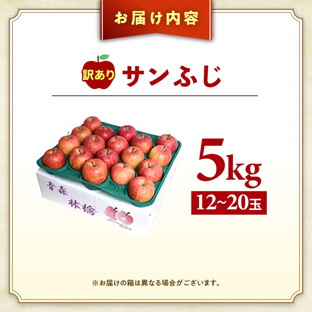 【訳あり】 青森県産りんご サンふじ 約5kg 12月～ りんご