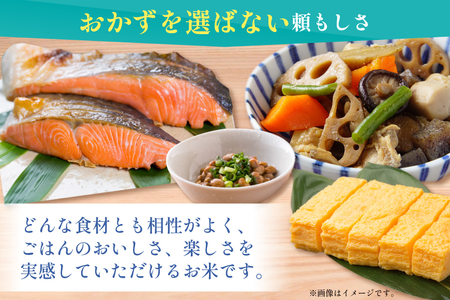 米 無洗米 令和7年 青森県産 青天の霹靂 2合 スティック 15本 セット 化粧箱入り [わか本米店 青森県 おいらせ町 oi02ayo800025]