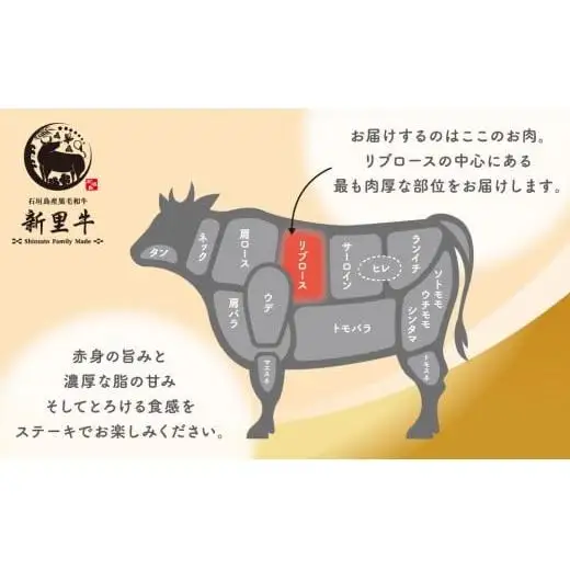 石垣島産 黒毛和牛 新里牛 リブロースステーキ（200g×2）合計400g SZ-29