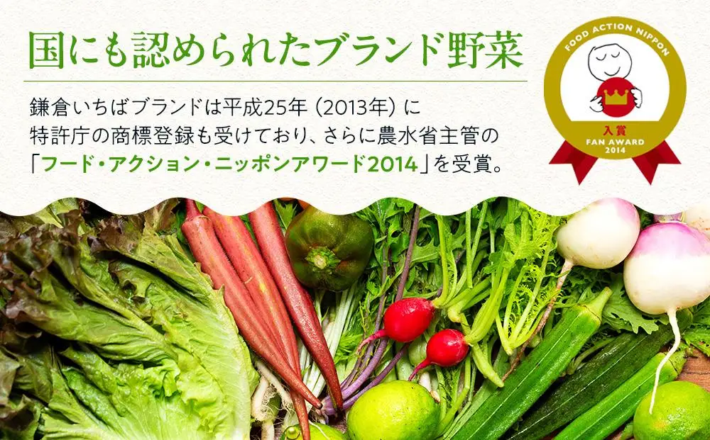 「鎌倉いちばブランド」新鮮お野菜詰め合わせセット  6～8品 ｜ 人気 野菜 詰合せ 詰め合わせ セット 新鮮野菜 詰め合わせセット 野菜セット 季節の野菜 鎌倉野菜 地元産 お取り寄せ おすすめ 送料無料 神奈川 鎌倉 新鮮