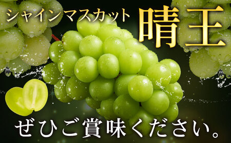 ぶどう シャインマスカット 晴王 700g 1房 彩美菜果《7月上旬-9月中旬頃出荷》 マスカット 送料無料 岡山県 浅口市 フルーツ 果物 贈り物 国産 岡山県産 くだもの 果物 青果物 7月～8月発送 【配送不可地域あり】（北海道・沖縄・離島）