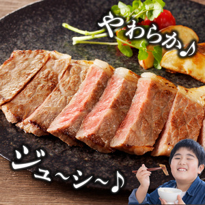 宮崎牛すき焼用(900g) N061-YC808