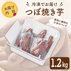 つぼ焼き芋(計1.2kg・約6本入) 焼き芋 さつまいも スイーツ 国産 蜜芋 デザート【uj-EC001】【つぼ焼き芋 SoGa屋】