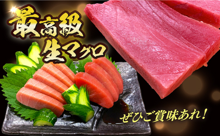 冷蔵！生本マグロ 中トロ 計約400g マグロ まぐろ 鮪 刺身 五島列島産養殖 [RBN016] 本マグロ 本まぐろ 本マグロ 本まぐろ 本マグロ 本まぐろ 本マグロ 本まぐろ九州 長崎