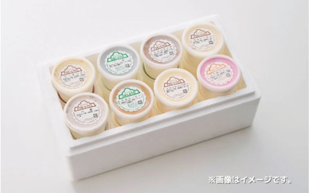 【おためしセット】アイス＆ジェラート 8個×146ml | アイスクリーム