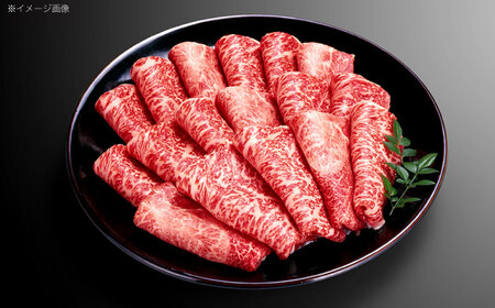 【12回定期便】長崎和牛モモスライス約500g[OCE077]