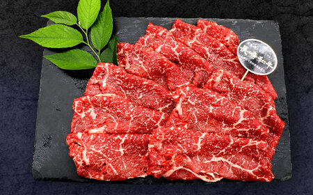 【12回定期便】長崎和牛 すき焼き・しゃぶしゃぶ用 赤身スライス600g (モモ・ウデ 各300g)[OCE095]
