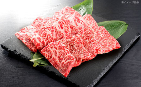 【3回定期便】長崎和牛 焼肉用 赤身スライス600g (モモ・ウデ 各300g)[OCE097]