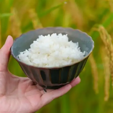 【令和7年産】奈良県産 あきたこまち 精米 5kg_ 精米 米    あきたこまち 米 アキタコマチ_【1454618】