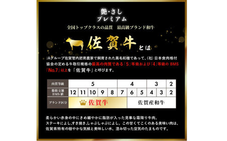 【全6回定期便】佐賀牛ヒレステーキ 3枚（計500g） / 佐賀県 / 佐嘉ZEYTAKUYA（やま田商店）[41AQAA064]