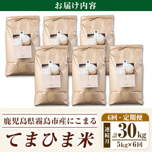 K-391-F 【6回定期便】令和7年産 てまひま米・玄米(品種:にこまる)(計30kg：5kg×6回)【末蜜農園】霧島市 お米 玄米 米 こめ コメ ご飯 ごはん 定期便 栽培期間中農薬不使用