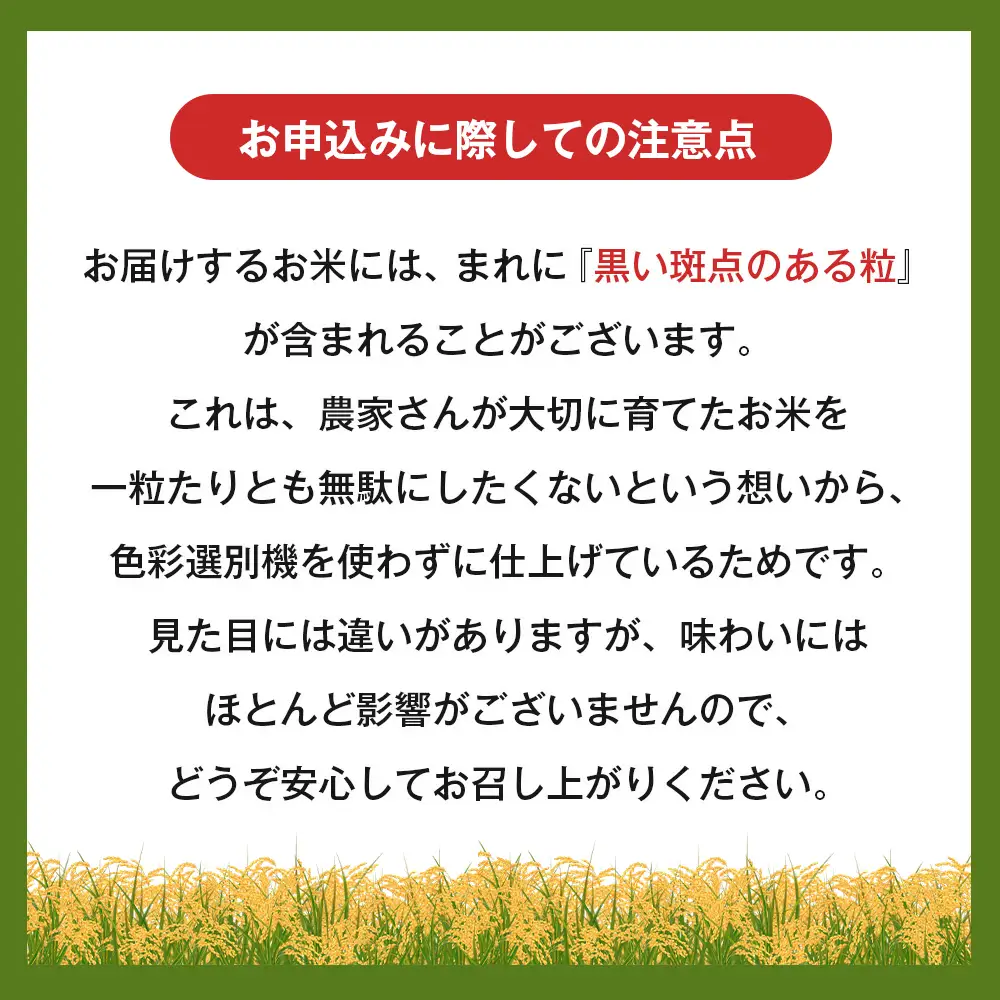 令和７年度 淡路島産キヌヒカリ 5kg （白米）