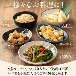 i1057 国産たけのこ水煮 乱切り(計2kg・200g×10P) 小分け 国産 九州産 たけのこ 筍 タケノコ  水煮 常温保存 常温 料理 煮物 炊き込みご飯 おでん 料理 お手軽 【旬彩館】