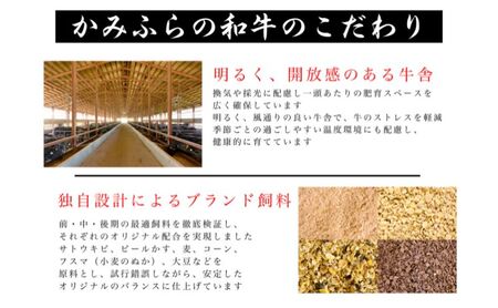 かみふらの和牛切り落し（肩・モモ・バラ）約800g 牛肉  国産 和牛 肩 モモ バラ 切り落とし カレー 肉じゃが