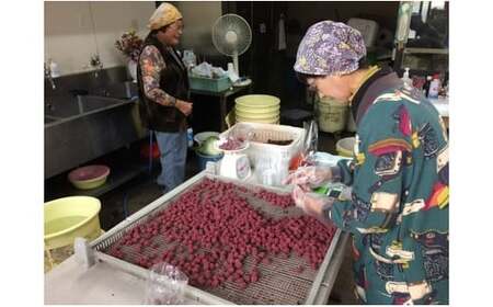 梅干し（南高梅干し）と季節の食べ物セット 無添加｜多気町産 TH-04