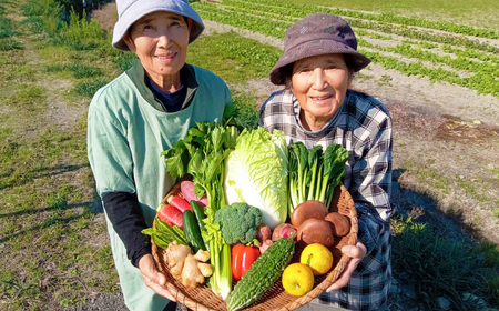 【4回定期便】【訳あり】高知県産 土佐季節の野菜詰め合せセット/3ヵ月に1回 野菜 定期 お野菜 高知 やさい 季節もの【香稜苑】[ATBQ010] 訳あり 不揃い 規格外 支援 支援品