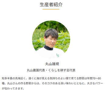 丸山農園の野菜セット 中セット 3~4人用 おまかせ 6?8品目 無農薬 くらしを耕す会 野菜 やさい サラダ 健康 人参 玉ねぎ 大根