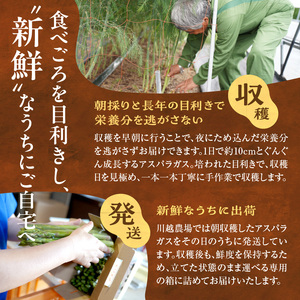 《2026年発送》グリーンアスパラガス 1kg | 北海道産 やま旨 極太