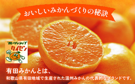 【先行予約】【ご家庭用】和歌山有田みかん約10kg(M、Lサイズ)【美浜町】 ｜ みかん