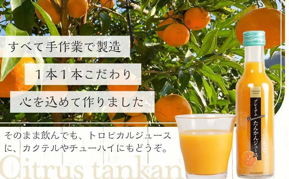 屋久島プレミアムたんかんジュース 200g×6本（贈答用にも）＜果汁100%ストレートジュース＞