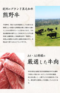 【定期便 全3回】紀州和歌山うまいもんセットA（生まぐろ・うなぎ蒲焼・熊野牛）【UT125】【Z91165-tkb386】