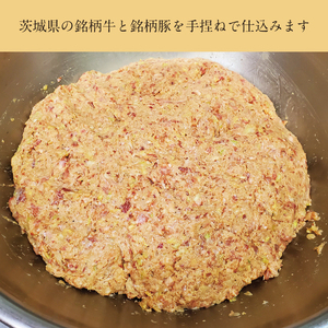 【楽ちん 冷凍とんかつ】いばらきの旨さがギュ～っと詰まった 茨城メンチかつ2個（BK-115）