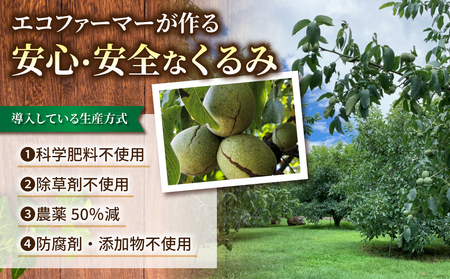令和7年産 信濃くるみ　剥きタイプ（900g）※150g×6袋 【アルファーム】