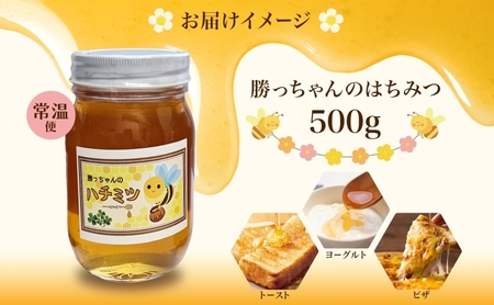 勝っちゃんのはちみつ 500g 瓶 はちみつ 蜂蜜 ハチミツ 非加熱 天然 100% 百花蜜 濃厚 甘い 純粋 生はちみつ 国産 ハニー お取り寄せ 日本製 ギフト プレゼント 贈答 贈り物 スイーツ 岐阜県 揖斐川町 送料無料 蜂とステンド工房揖斐川