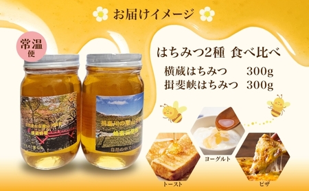 はちみつ 2種 セット 揖斐峡はちみつ 横蔵はちみつ 計600g 各300g 瓶 蜂蜜 ハチミツ 非加熱 天然 100% 百花蜜 純粋 生はちみつ 国産 ハニー お取り寄せ ギフト プレゼント 贈答 贈り物 岐阜県 揖斐川町 送料無料 蜂とステンド工房揖斐川