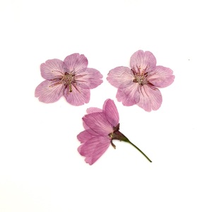 桜のモチーフ×天然石ブレスレット [1459]