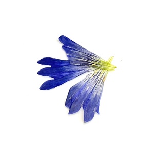 りんどうのモチーフ×天然石ブレスレット [1461]