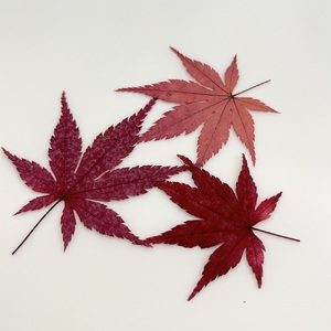 もみじのモチーフ×天然石ブレスレット [1462]