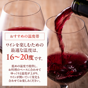 花菱 メルロー＆カベルネ・ソーヴィニヨン 2022　2本　ワイン 赤ワイン メルロー カベルネ・ソーヴィニヨン 2022 750ml 2本 数量限定 赤 国産ワイン 山梨県産 韮崎産 白州産 北杜市産 タンニン 樽香 果実味 ジューシー 記念日 贈り物 プレゼント [h135]