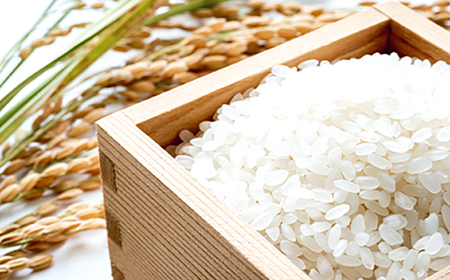 (令和7年産)長崎県認定特別栽培米ひのひかり5kg  / 米 こめ コメ おこめ お米 白米 精米 ひのひかり ヒノヒカリ kome 長崎県産 / 諫早市 / 宮下農園   [AHCG022]