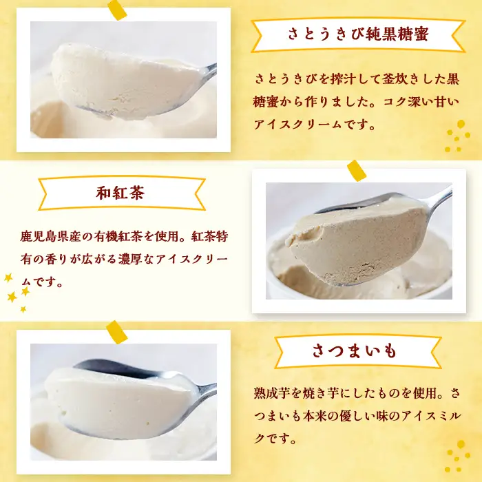 【A83004】南のくだもの王国 南のFRUIT＆CROPS ジェラート セット (9種 9個入り) ジェラート アイスクリーム アイス スイーツ フルーツ おやつ デザート お菓子 冷凍 冷凍食品 ギフト 甘夏 タンカン 柑橘 大将季 【農地所有適格法人株式会社P＆Y'sLabo】