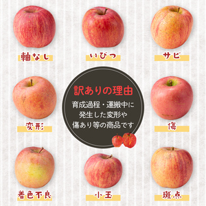 《先行予約》【訳あり】【家庭用】山形県産サンふじりんご 約10kg 《2026年12月上旬頃より順次発送予定》 バラ入り りんご リンゴ 林檎 デザート フルーツ 果物 くだもの 果実 食品 山形県産 中山町 F4A-0462