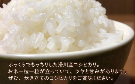 滑川産コシヒカリ（精米20kg） [D-007001]