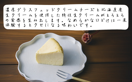 ホワイト生チーズケーキ 450g×1個 ご自宅用簡易包装 チーズケーキ